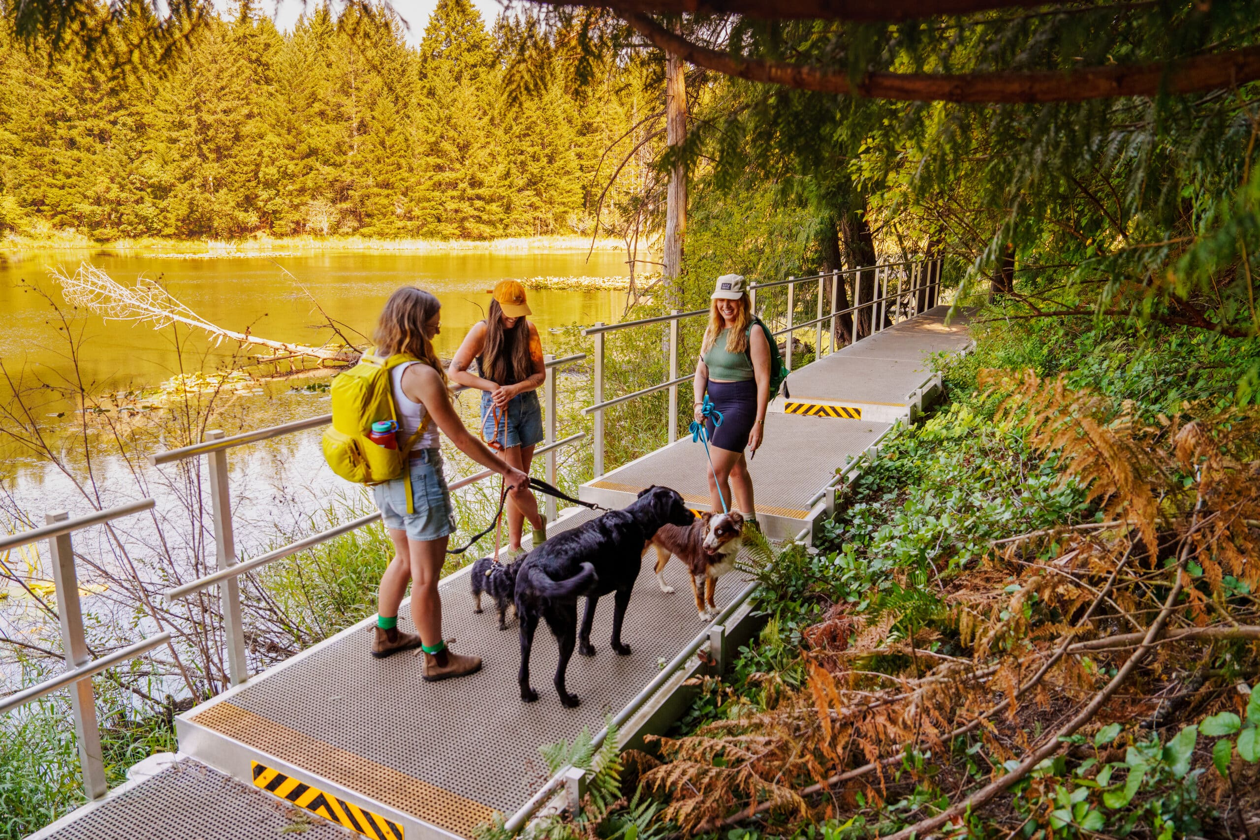 Tourism Nanaimo - August 2025 - Cottle Lake - Photos by Justin Parsons @NaturalSupernatural - 10